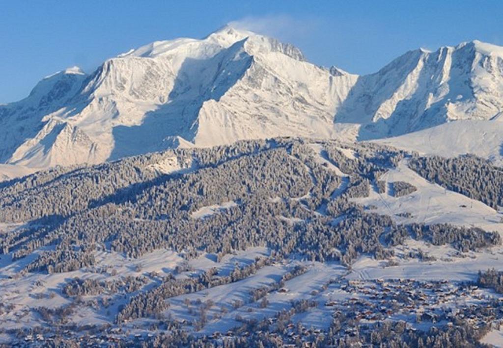 Appartement Reine Des Pres Megève Dış mekan fotoğraf